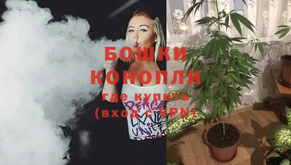трава Богородицк