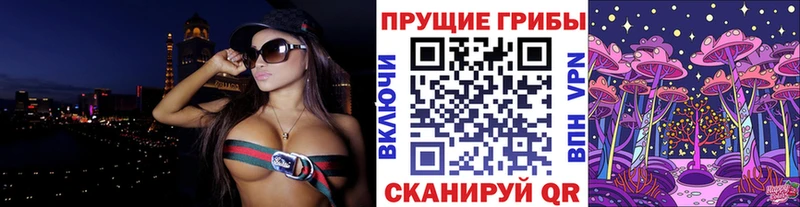 купить наркотики сайты  Пестово  Галлюциногенные грибы Psilocybe 