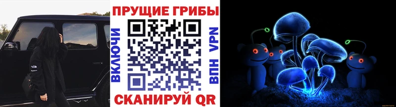 Псилоцибиновые грибы ЛСД Пестово